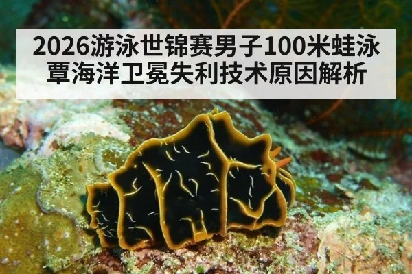 2026游泳世锦赛男子100米蛙泳覃海洋卫冕失利技术原因解析